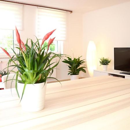 #Hoenepartment - Timeout Waldhessen - Bis Zu 8 Pers. Honebach Экстерьер фото
